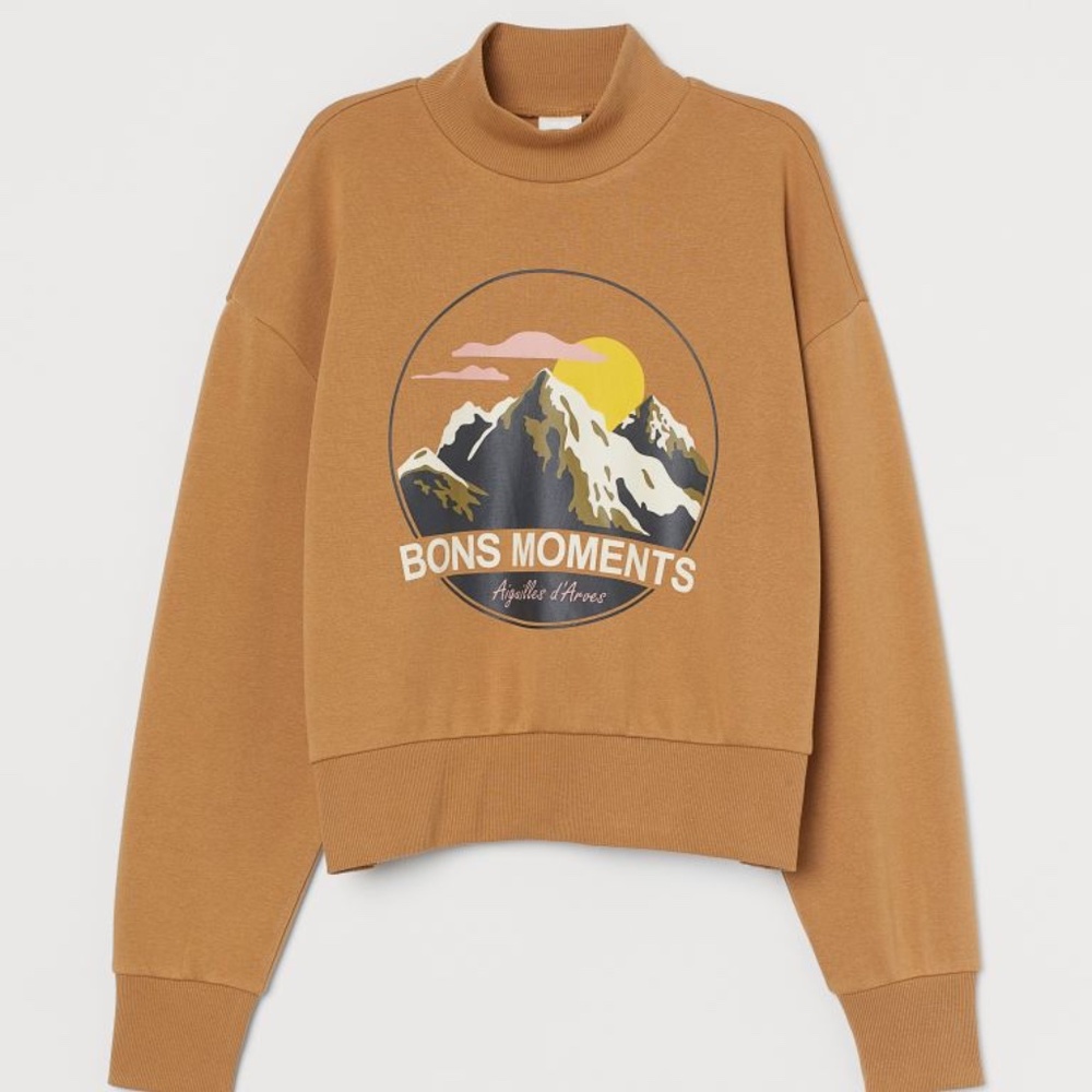 Brown Turtle Neck Sweater